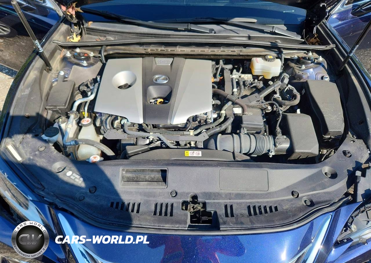 2021 Lexus Es 300H VIN:58ADA1C1XMU001541 - 11