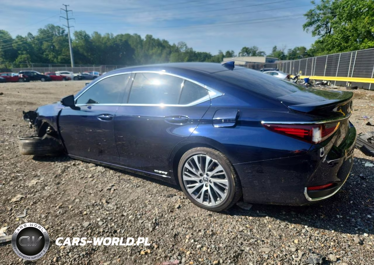 2021 Lexus Es 300H VIN:58ADA1C1XMU001541 - 2