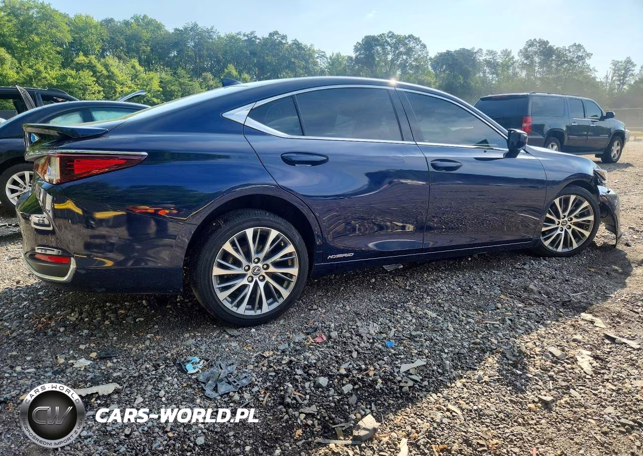2021 Lexus Es 300H VIN:58ADA1C1XMU001541 - 3