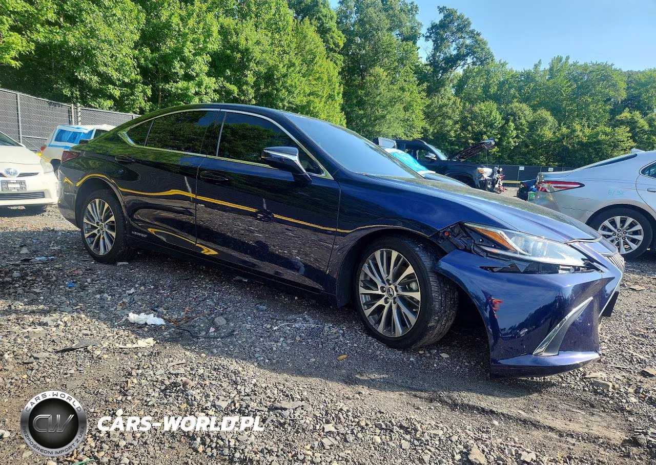 2021 Lexus Es 300H VIN:58ADA1C1XMU001541 - 4