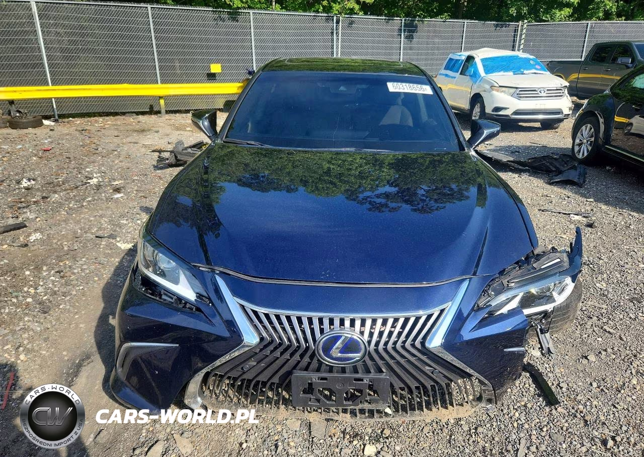 2021 Lexus Es 300H VIN:58ADA1C1XMU001541 - 5