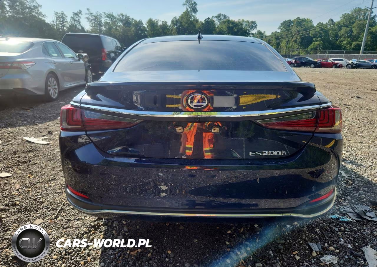 2021 Lexus Es 300H VIN:58ADA1C1XMU001541 - 6