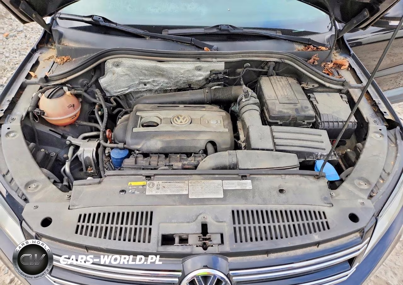 2013 Volkswagen Tiguan S VIN:WVGAV3AX7DW592000 - 12