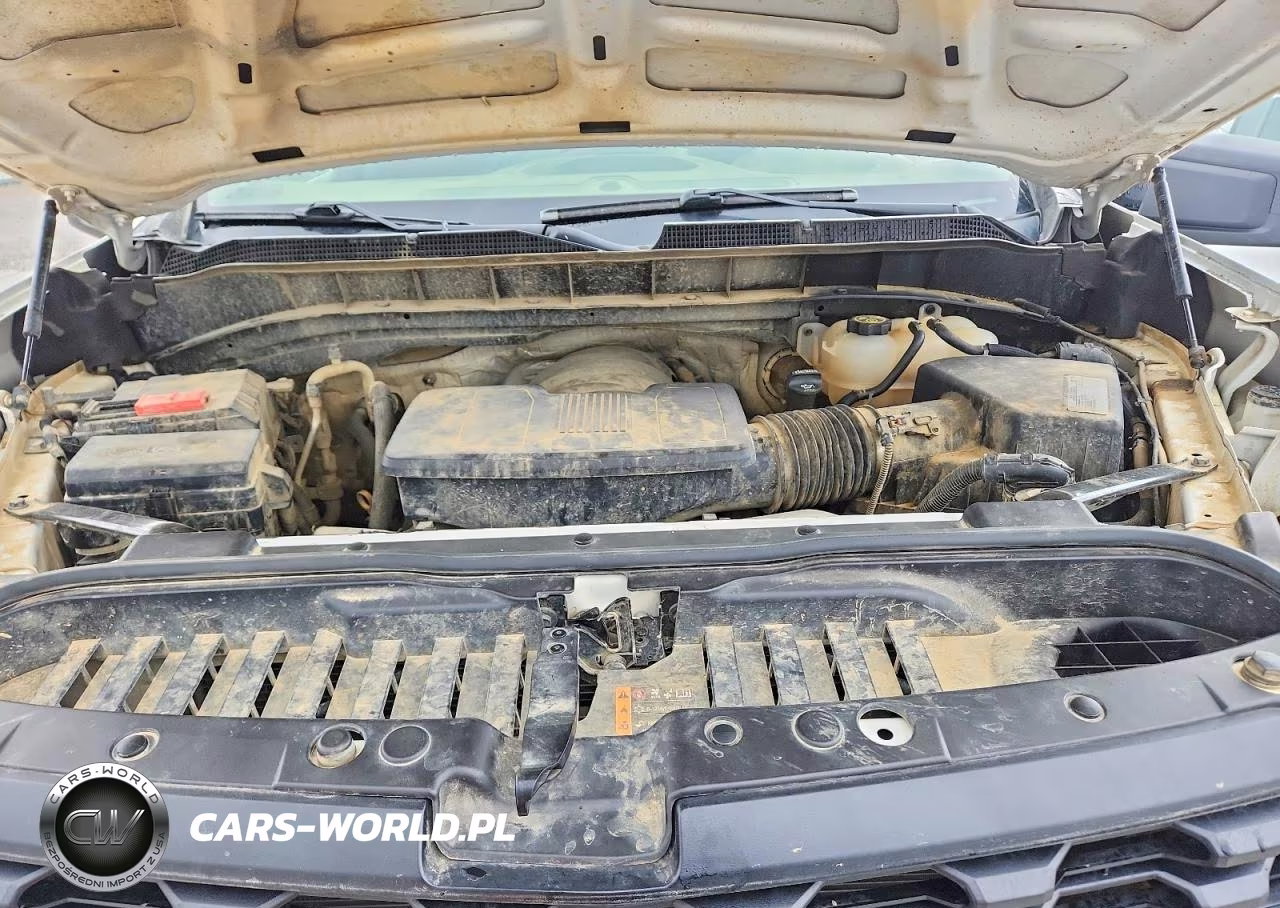 2020 Chevrolet Silverado K1500 VIN:3GCNYAEF9LG322346 - 11