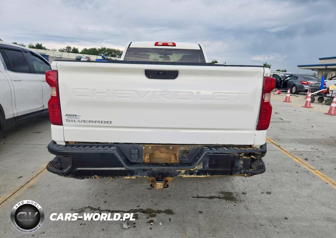 2020 Chevrolet Silverado K1500 VIN:3GCNYAEF9LG322346 - 6