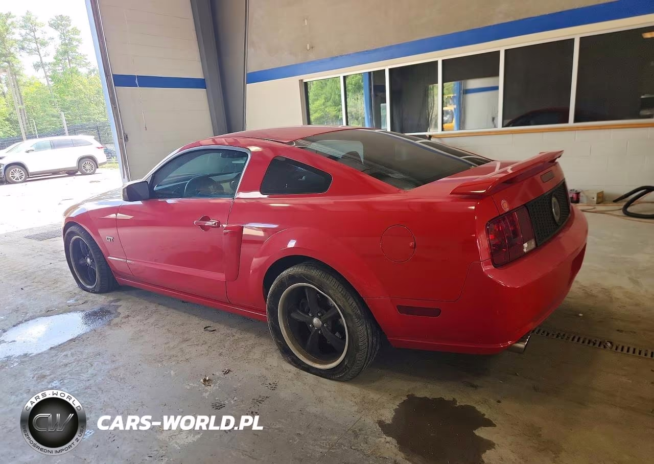 2006 Ford Mustang Gt VIN:1ZVFT82HX65216143 - 2