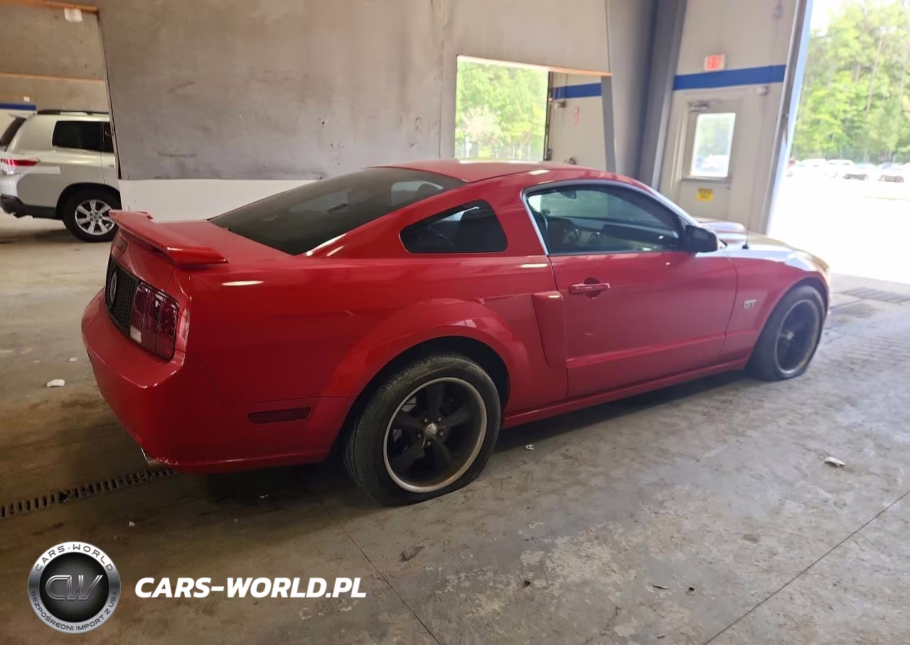 2006 Ford Mustang Gt VIN:1ZVFT82HX65216143 - 3
