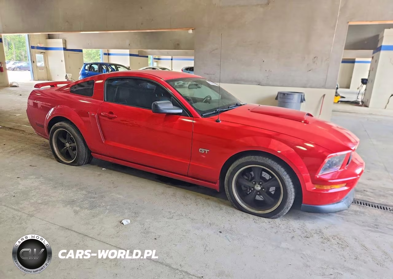 2006 Ford Mustang Gt VIN:1ZVFT82HX65216143 - 4