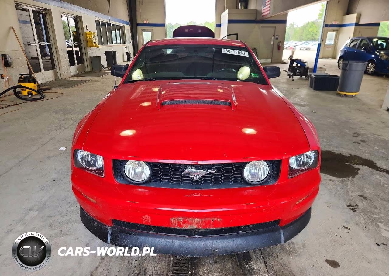 2006 Ford Mustang Gt VIN:1ZVFT82HX65216143 - 5