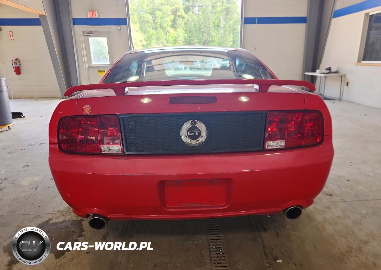 2006 Ford Mustang Gt VIN:1ZVFT82HX65216143 - 6