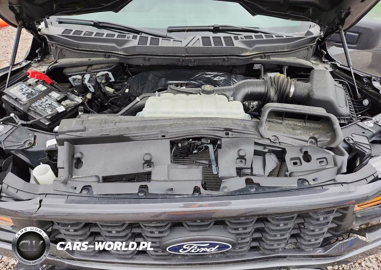 2025 Ford F150 Stx VIN:1FTEW2LP4SKE25043 - 11