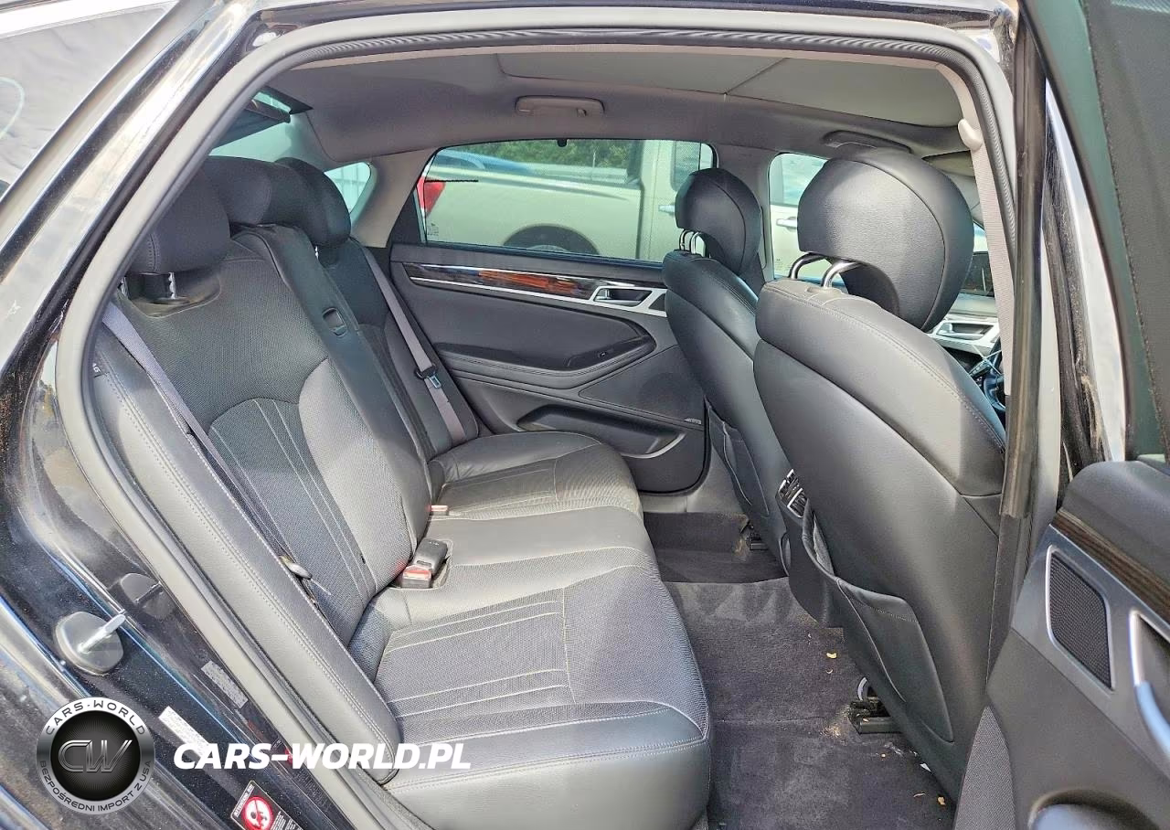 2016 Hyundai Genesis 3.8L VIN:KMHGN4JE1GU106389 - 10