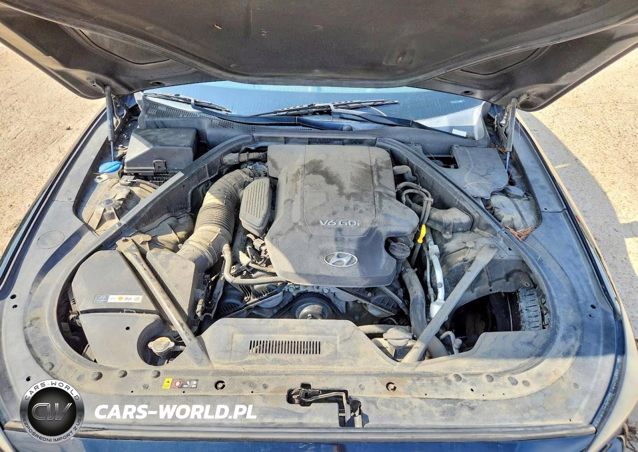 2016 Hyundai Genesis 3.8L VIN:KMHGN4JE1GU106389 - 11