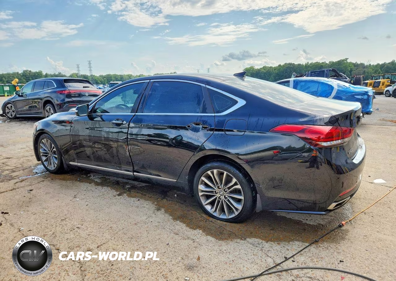 2016 Hyundai Genesis 3.8L VIN:KMHGN4JE1GU106389 - 2