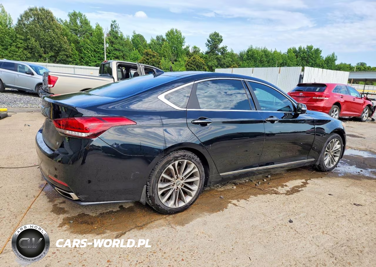 2016 Hyundai Genesis 3.8L VIN:KMHGN4JE1GU106389 - 3