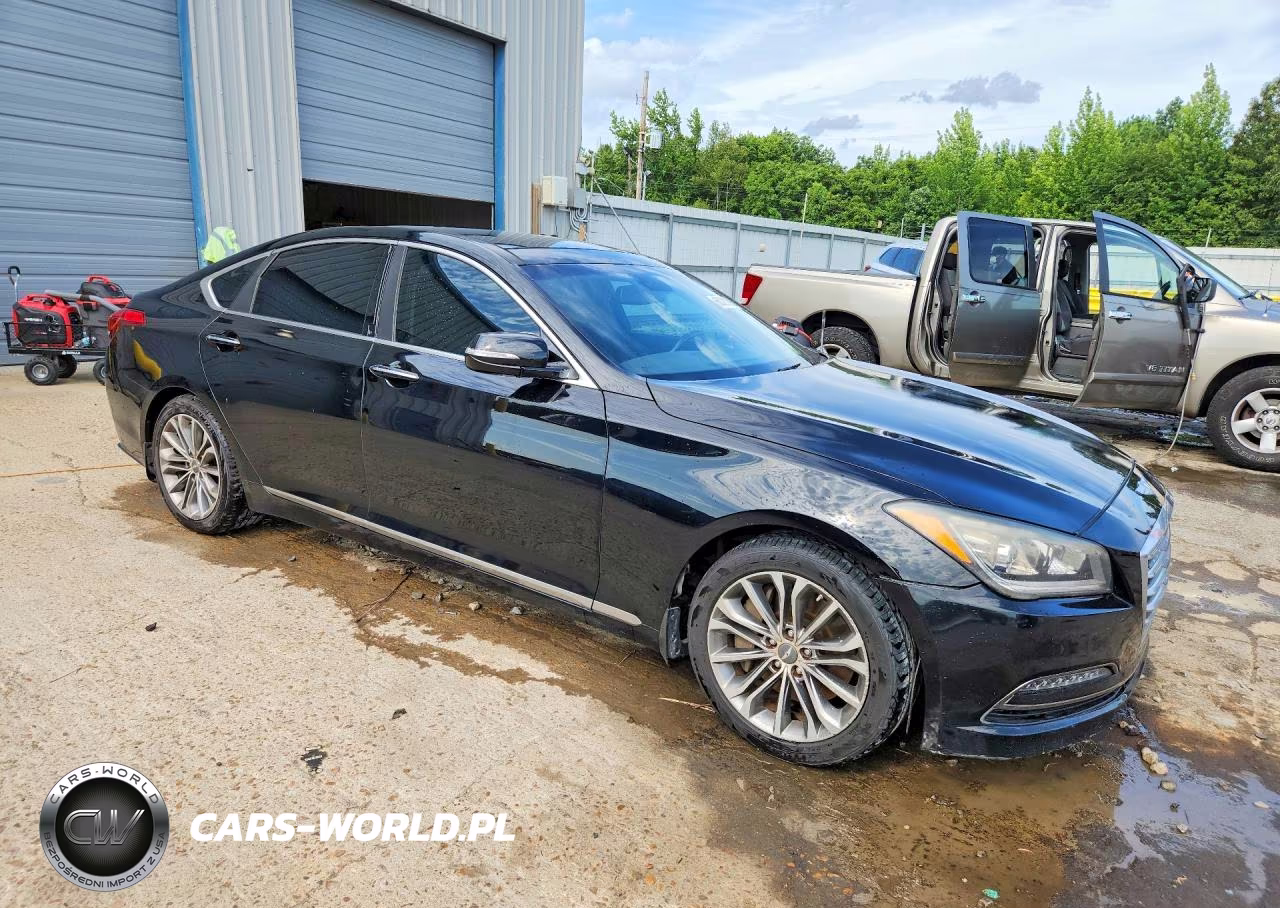 2016 Hyundai Genesis 3.8L VIN:KMHGN4JE1GU106389 - 4