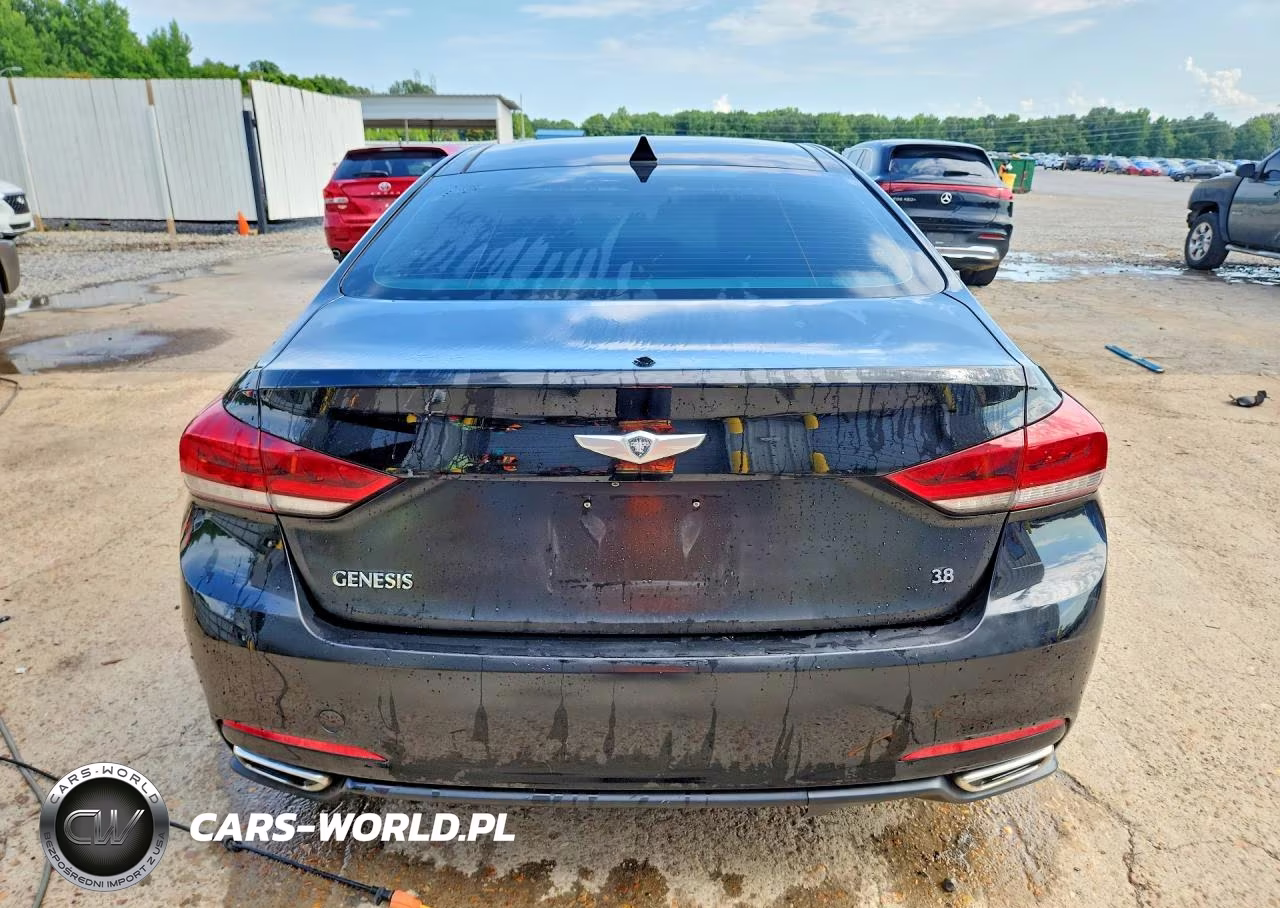 2016 Hyundai Genesis 3.8L VIN:KMHGN4JE1GU106389 - 6