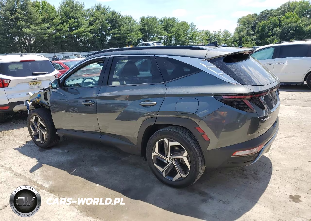 2022 Hyundai Tucson Limited VIN:KM8JFDA23NU052177 - 2