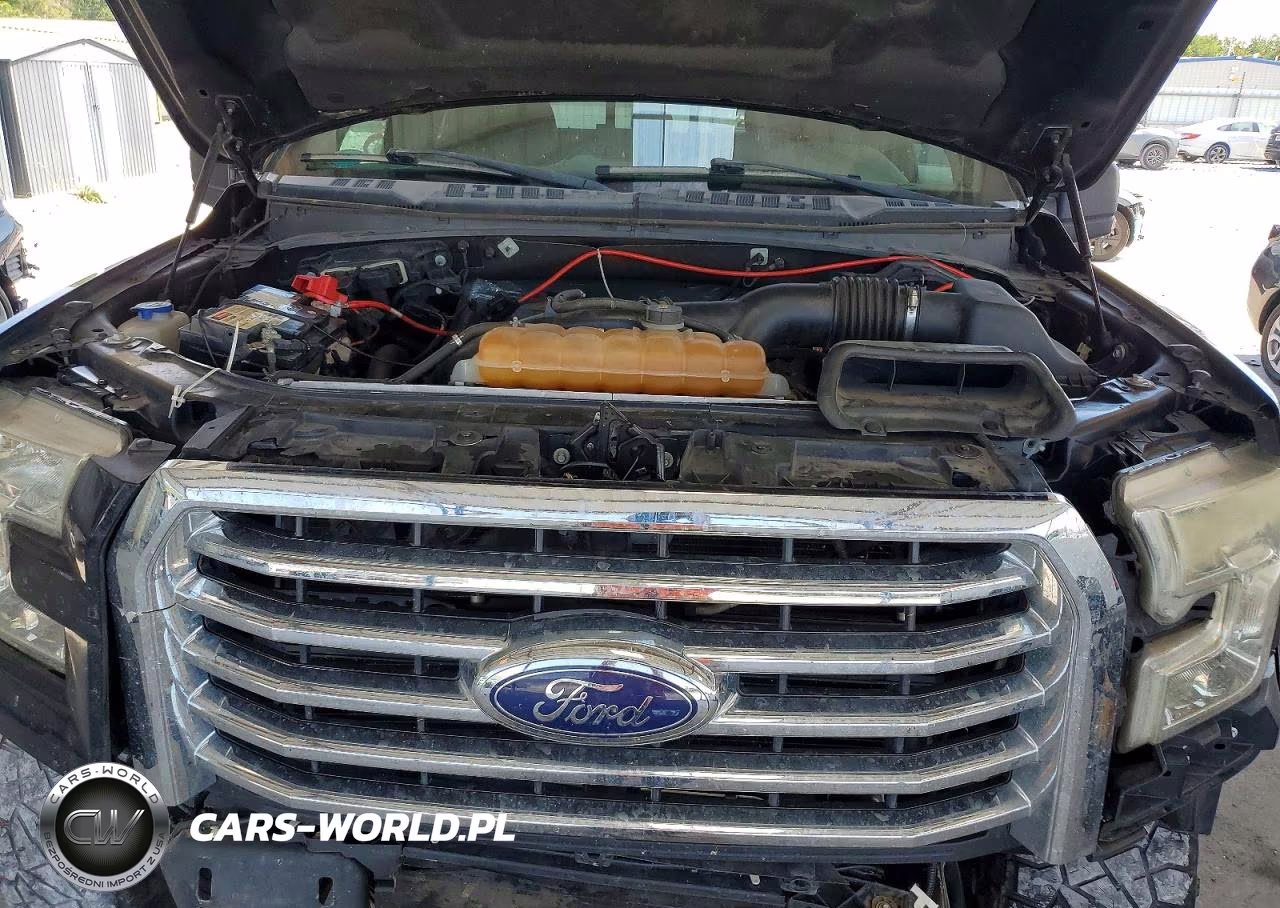 2016 Ford F150 Supercrew VIN:1FTEW1EP3GFC54972 - 11