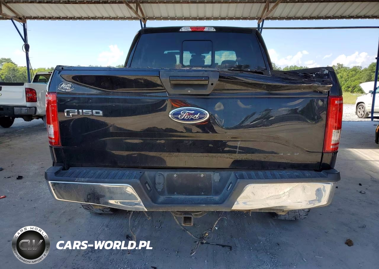2016 Ford F150 Supercrew VIN:1FTEW1EP3GFC54972 - 6