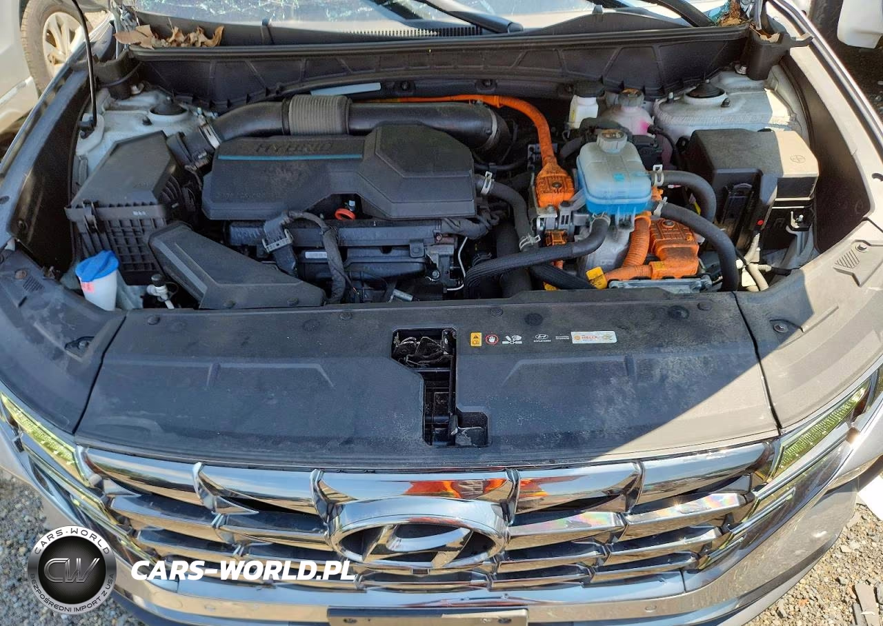 2023 Hyundai Tucson Limited VIN:KM8JFDA22PU126756 - 12