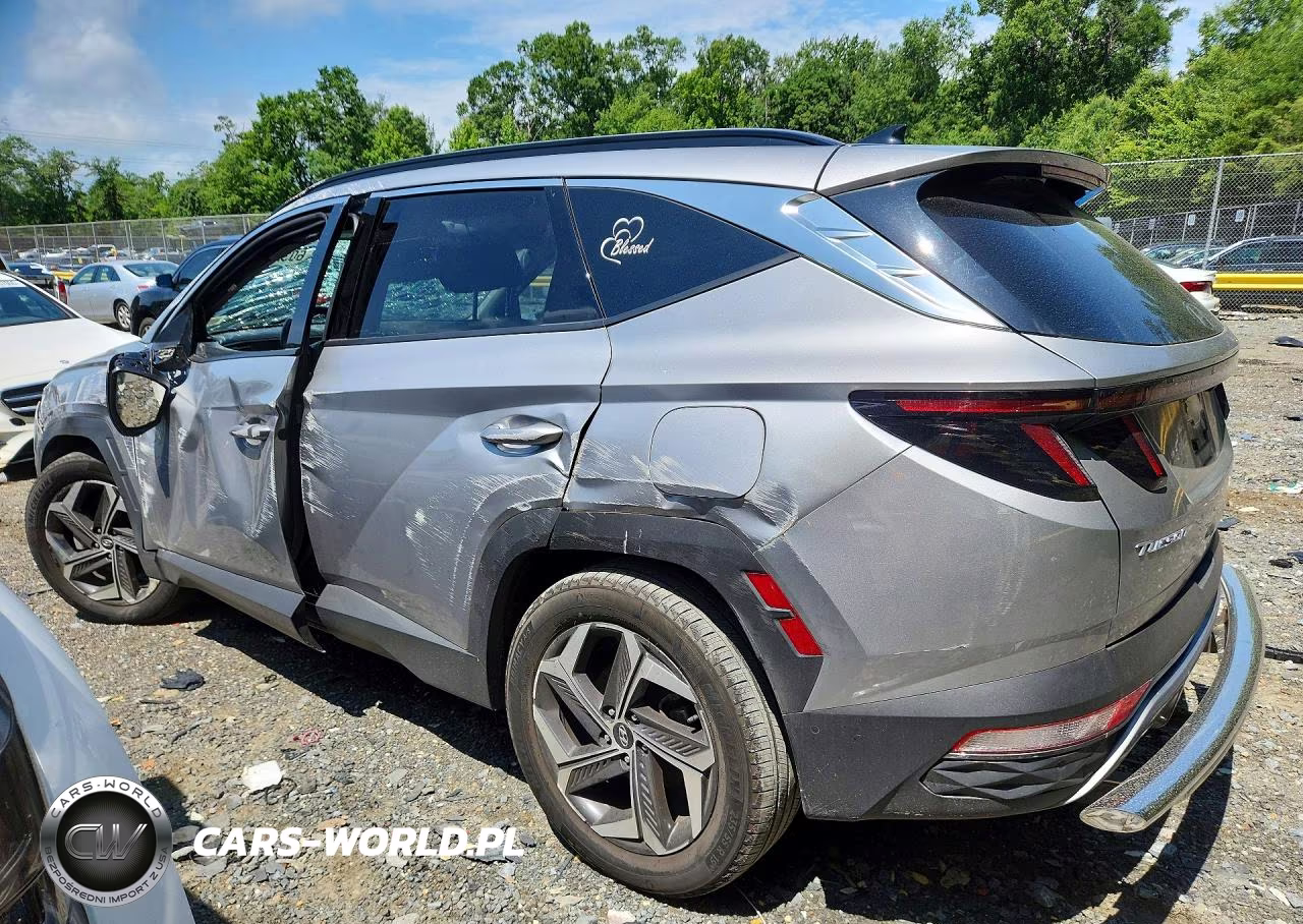 2023 Hyundai Tucson Limited VIN:KM8JFDA22PU126756 - 2