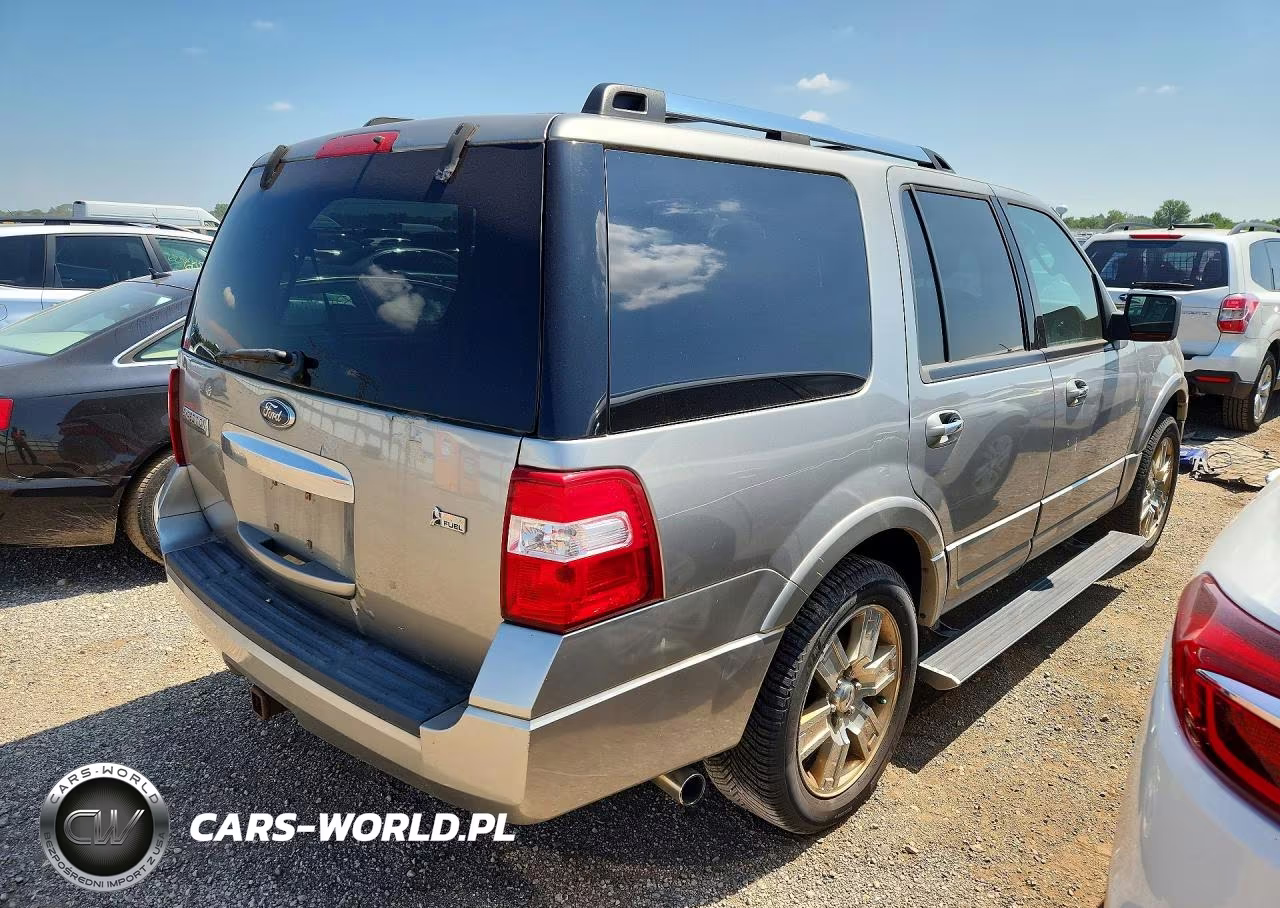 2009 Ford Expedition Limited VIN:1FMFU205X9LA03968 - 3