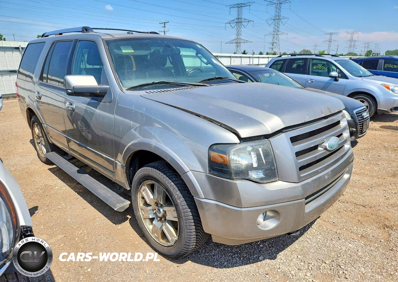 2009 Ford Expedition Limited VIN:1FMFU205X9LA03968 - 4