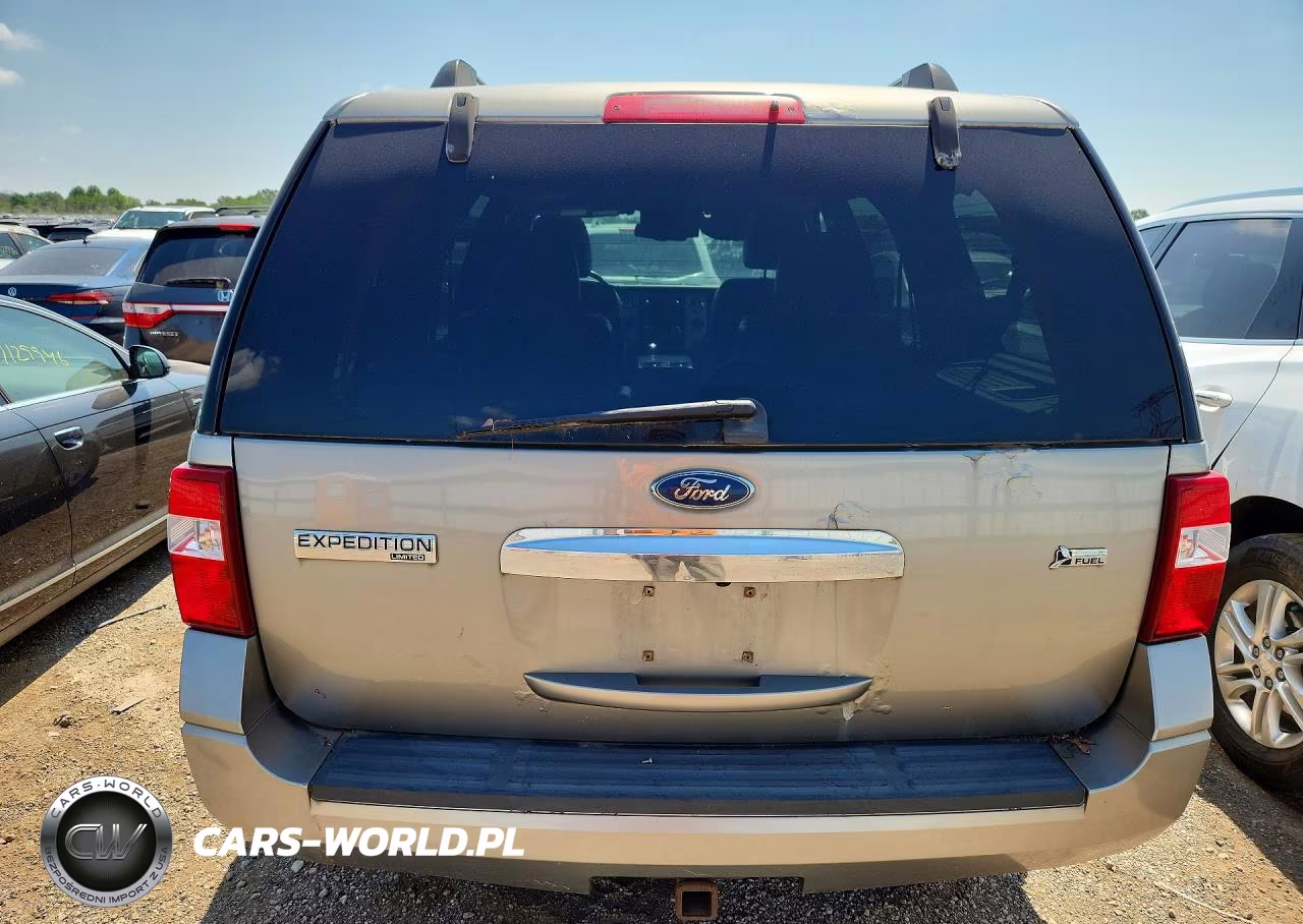 2009 Ford Expedition Limited VIN:1FMFU205X9LA03968 - 6