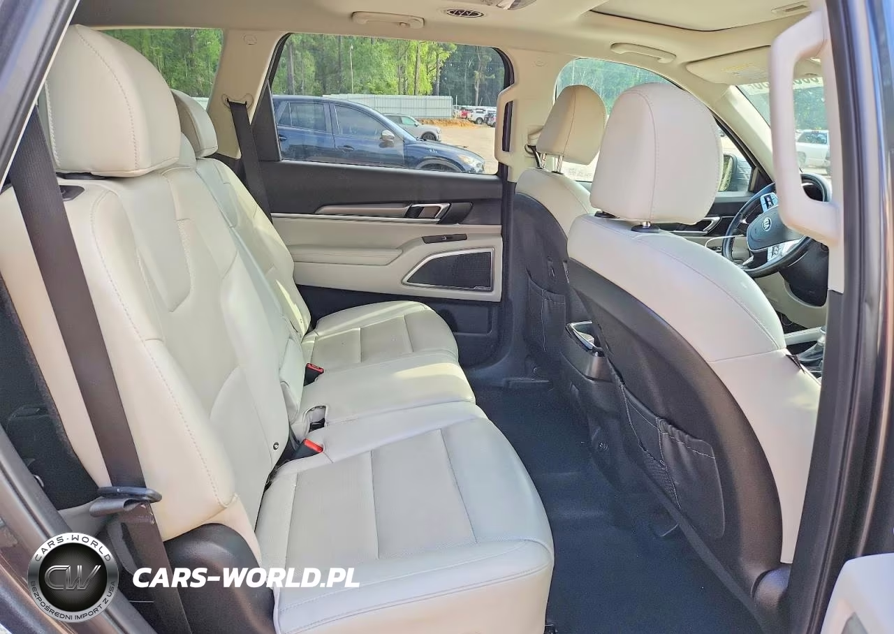 2020 Kia Telluride S VIN:5XYP6DHC4LG080680 - 10