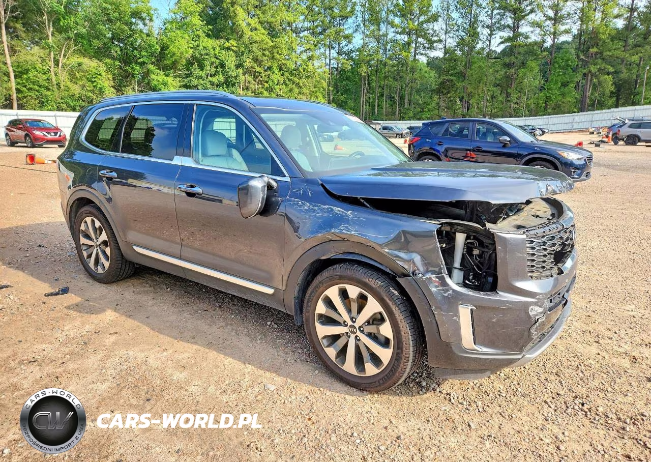 2020 Kia Telluride S VIN:5XYP6DHC4LG080680 - 4