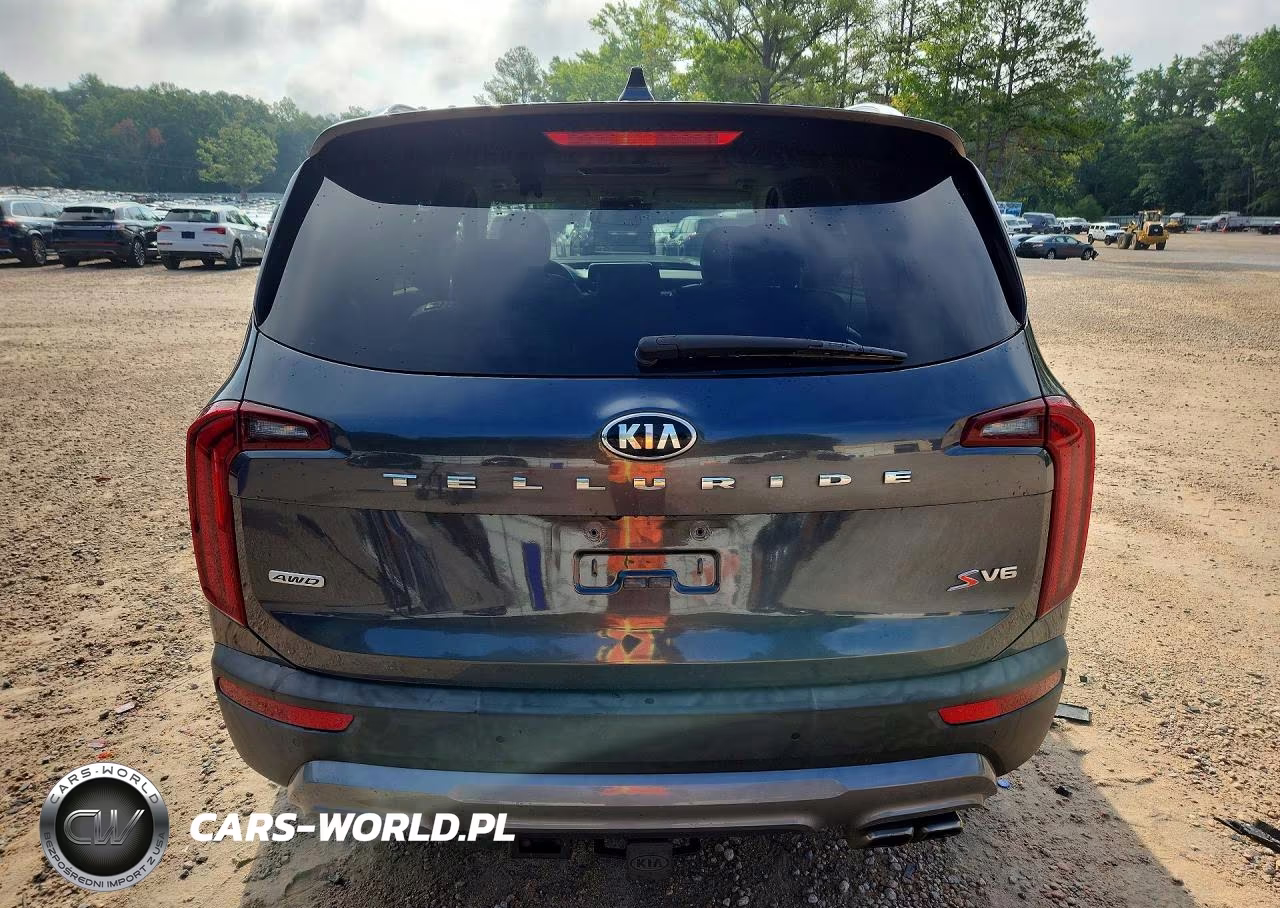 2020 Kia Telluride S VIN:5XYP6DHC4LG080680 - 6