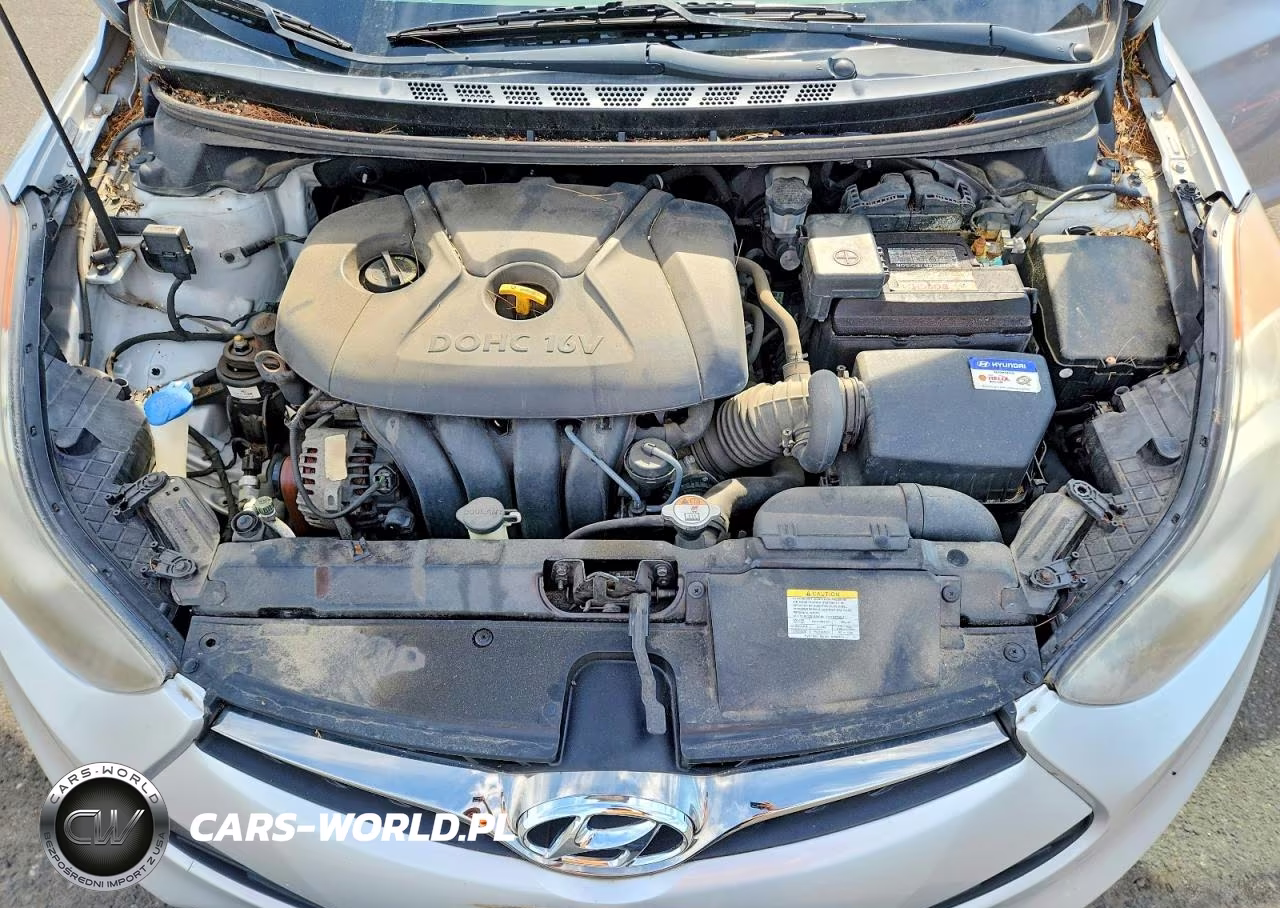 2013 Hyundai Elantra Coupe Gs VIN:KMHDH6AE7DU020487 - 11