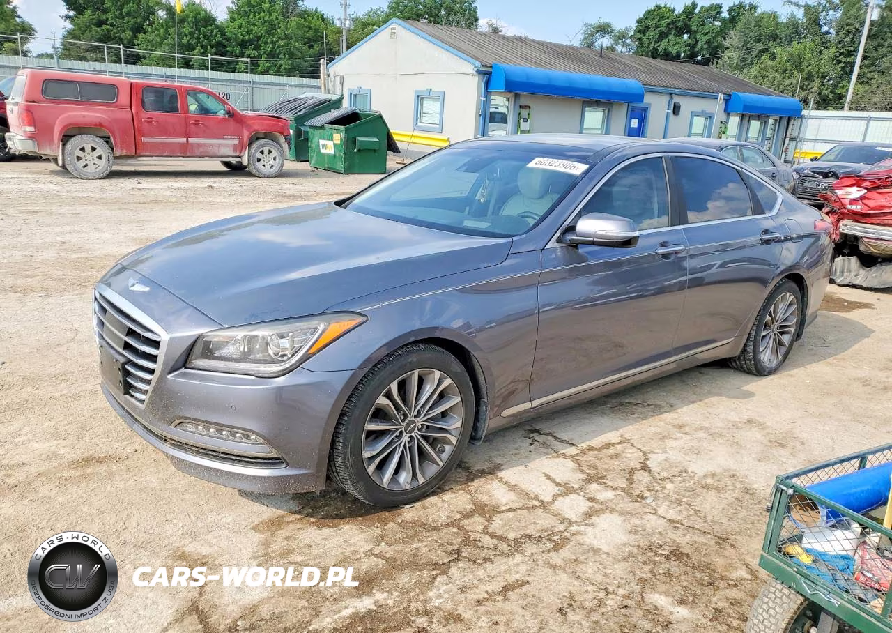 2016 Hyundai Genesis 3.8L VIN:KMHGN4JE1GU106277 - 1