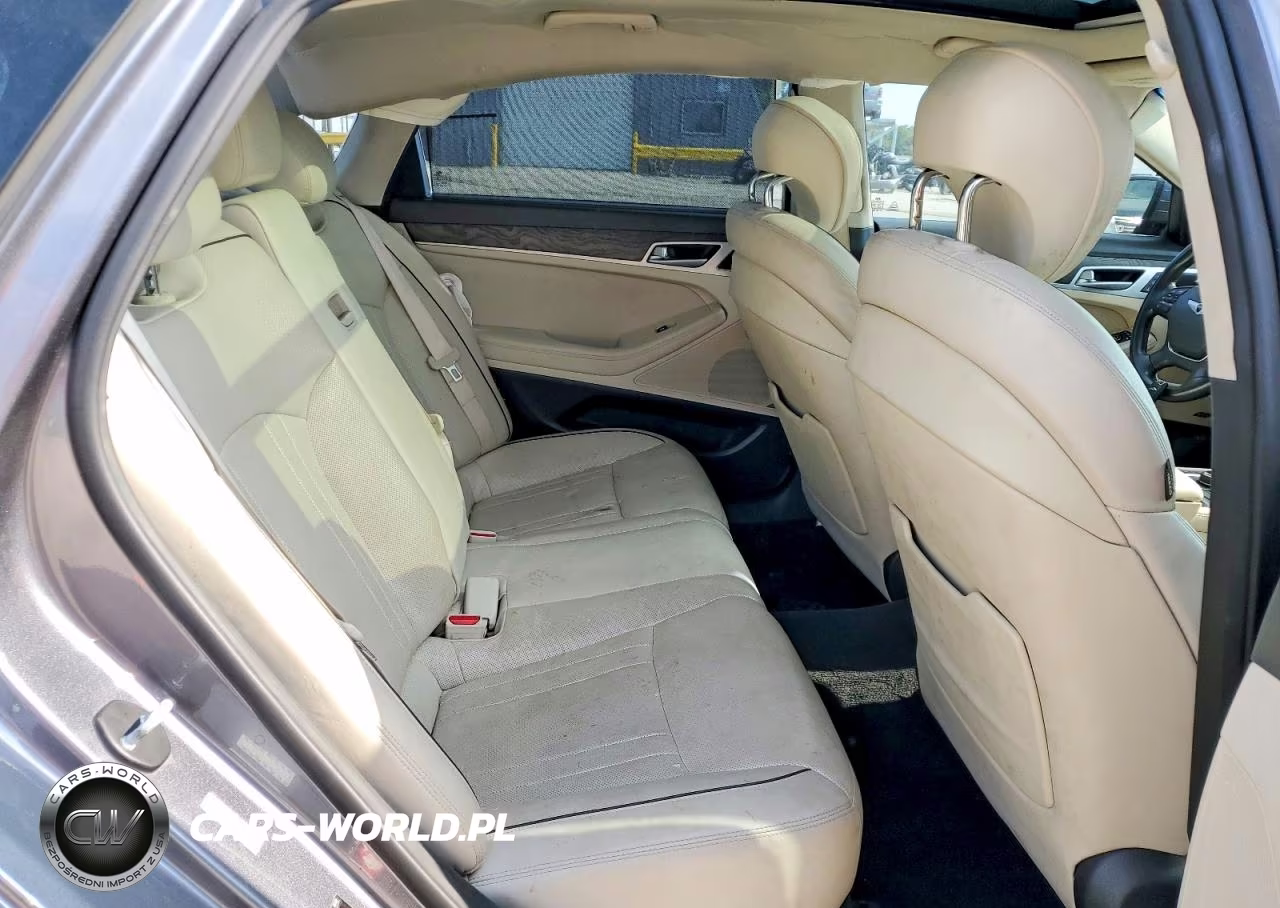 2016 Hyundai Genesis 3.8L VIN:KMHGN4JE1GU106277 - 10