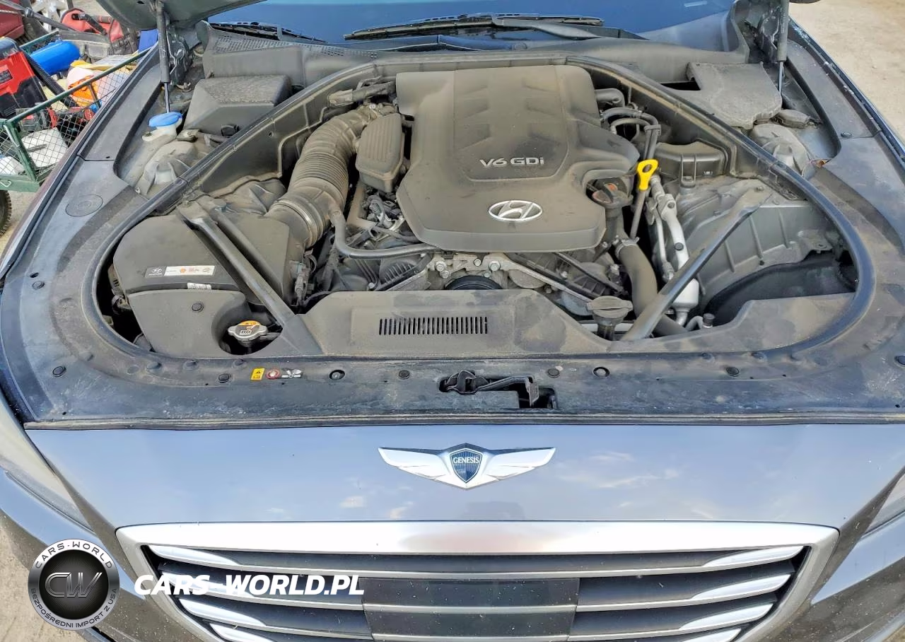 2016 Hyundai Genesis 3.8L VIN:KMHGN4JE1GU106277 - 11