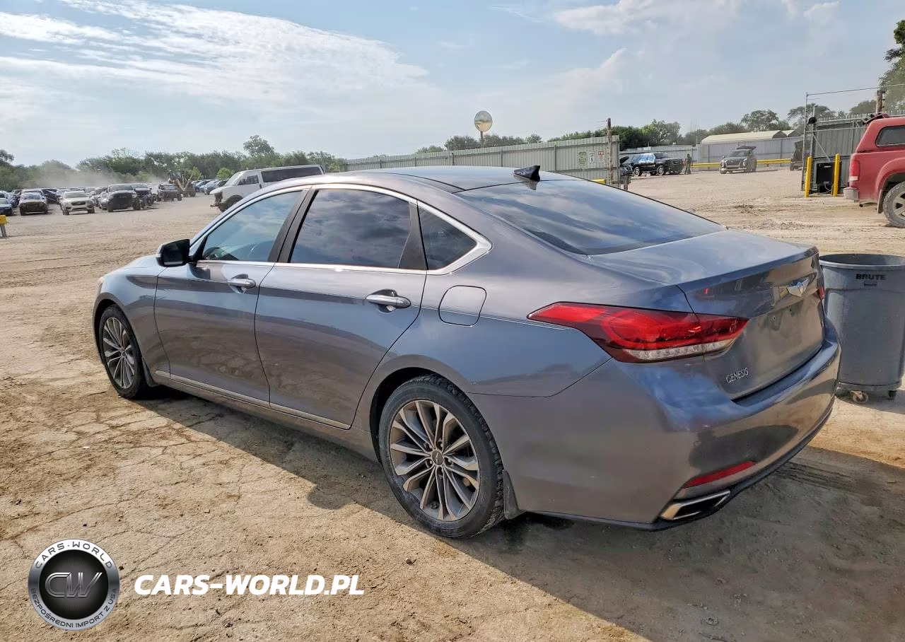 2016 Hyundai Genesis 3.8L VIN:KMHGN4JE1GU106277 - 2