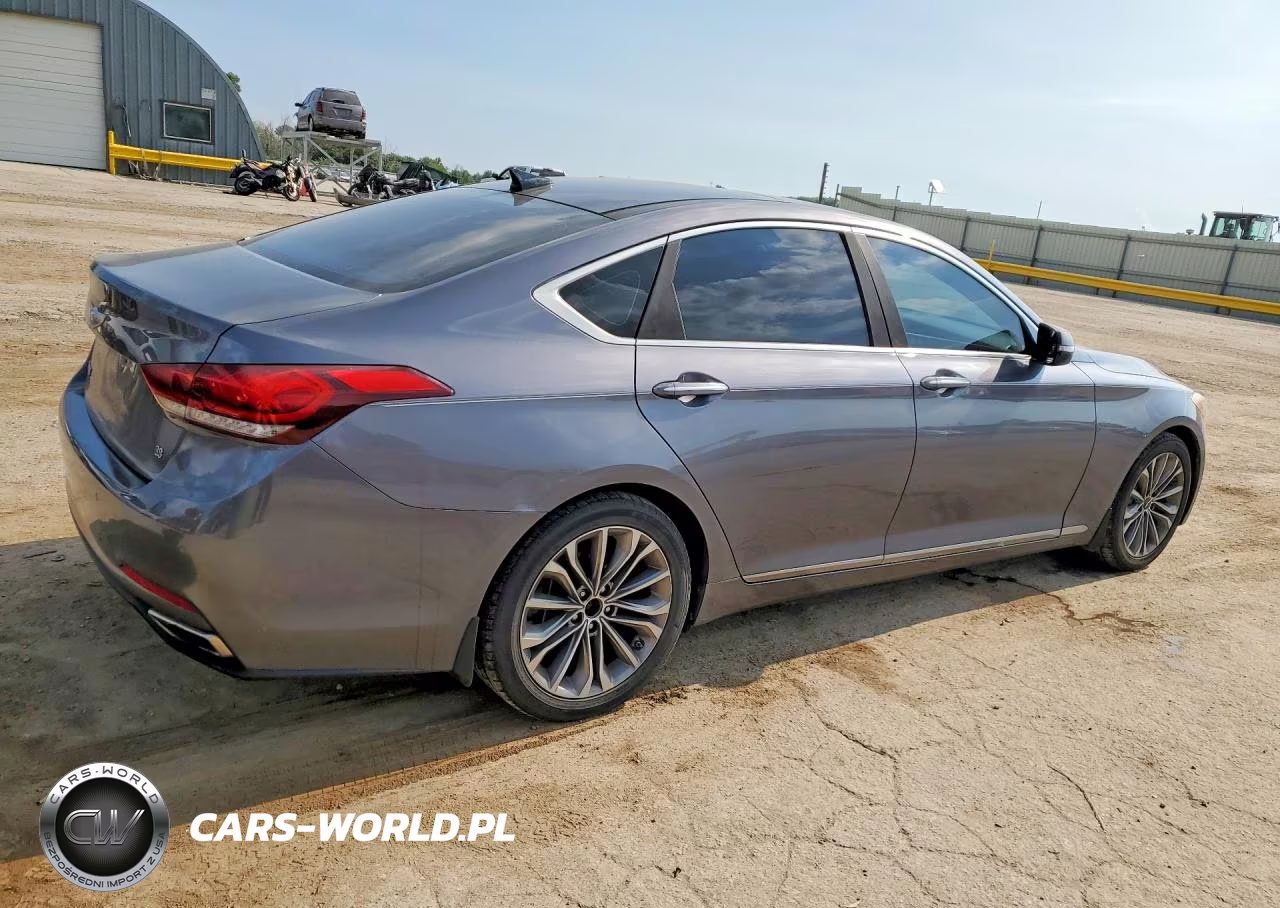 2016 Hyundai Genesis 3.8L VIN:KMHGN4JE1GU106277 - 3