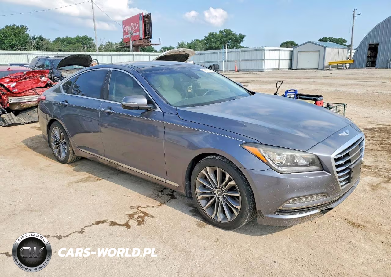 2016 Hyundai Genesis 3.8L VIN:KMHGN4JE1GU106277 - 4