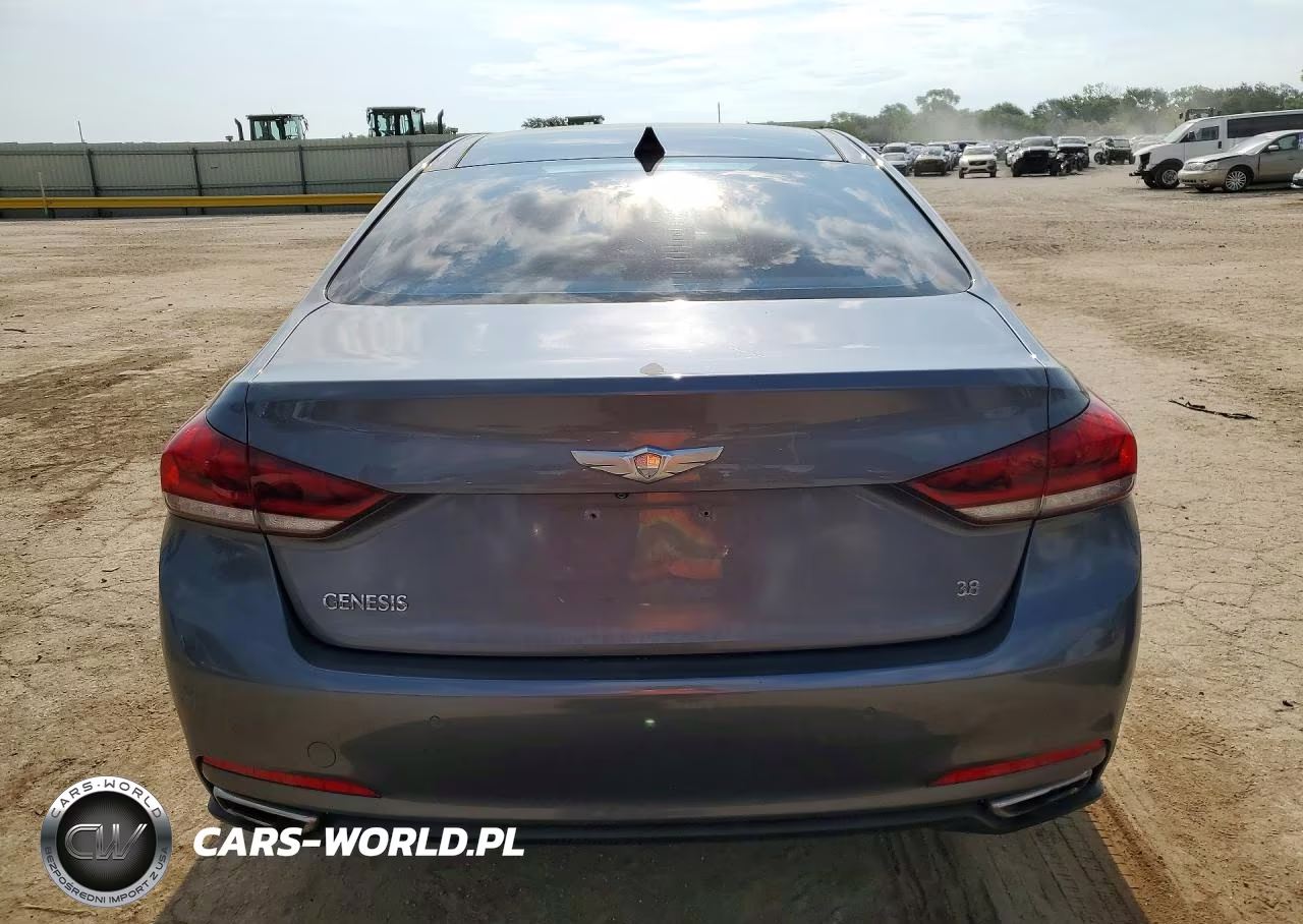 2016 Hyundai Genesis 3.8L VIN:KMHGN4JE1GU106277 - 6
