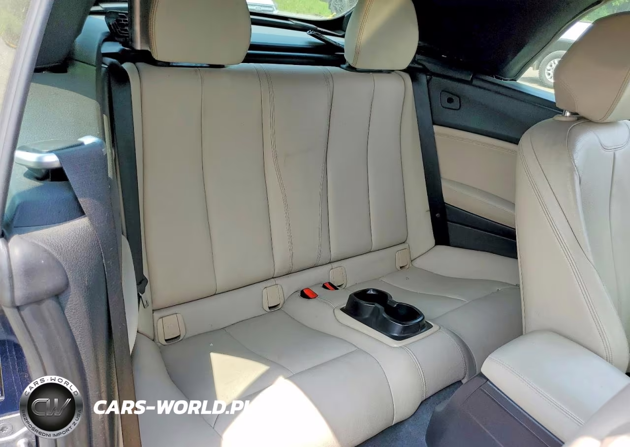 2016 BMW 228 Xi Sulev VIN:WBA1L9C56GV324975 - 10
