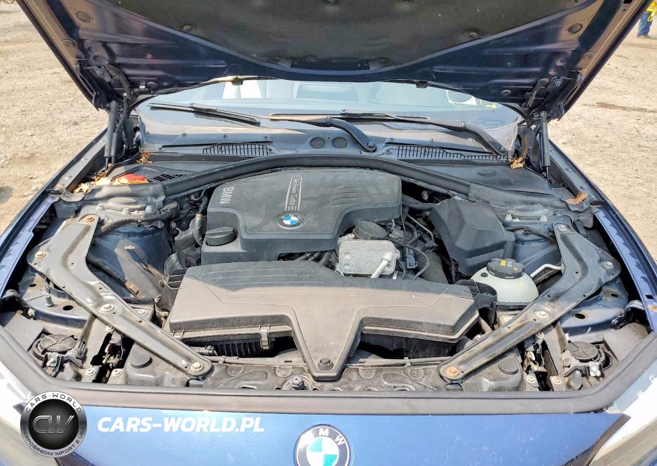 2016 BMW 228 Xi Sulev VIN:WBA1L9C56GV324975 - 11
