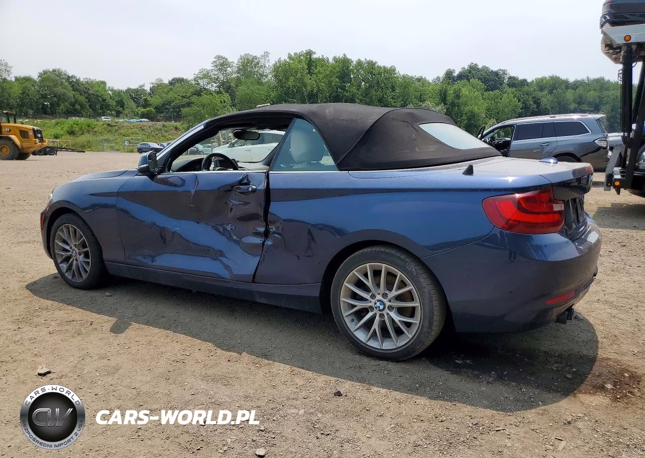 2016 BMW 228 Xi Sulev VIN:WBA1L9C56GV324975 - 2