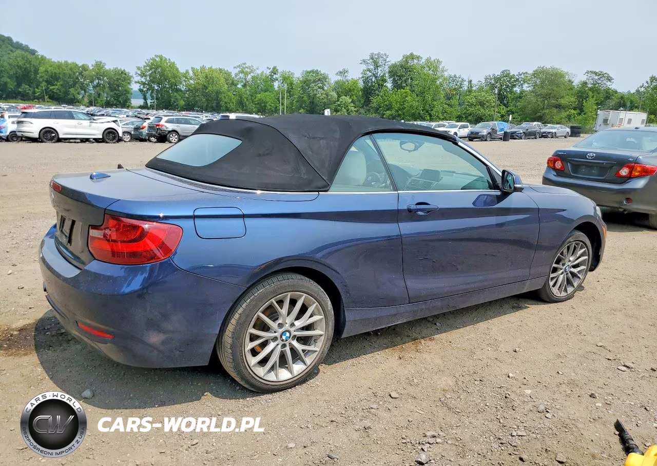 2016 BMW 228 Xi Sulev VIN:WBA1L9C56GV324975 - 3