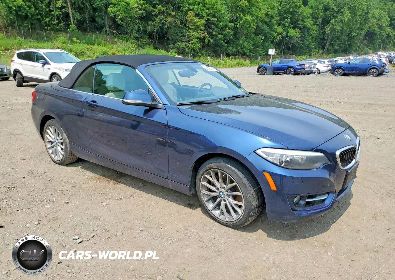 2016 BMW 228 Xi Sulev VIN:WBA1L9C56GV324975 - 4