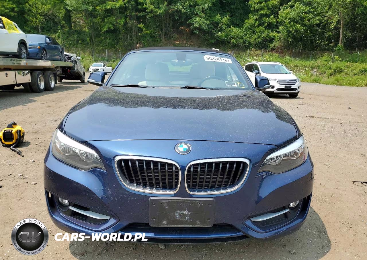 2016 BMW 228 Xi Sulev VIN:WBA1L9C56GV324975 - 5