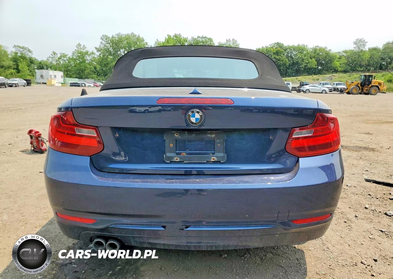 2016 BMW 228 Xi Sulev VIN:WBA1L9C56GV324975 - 6