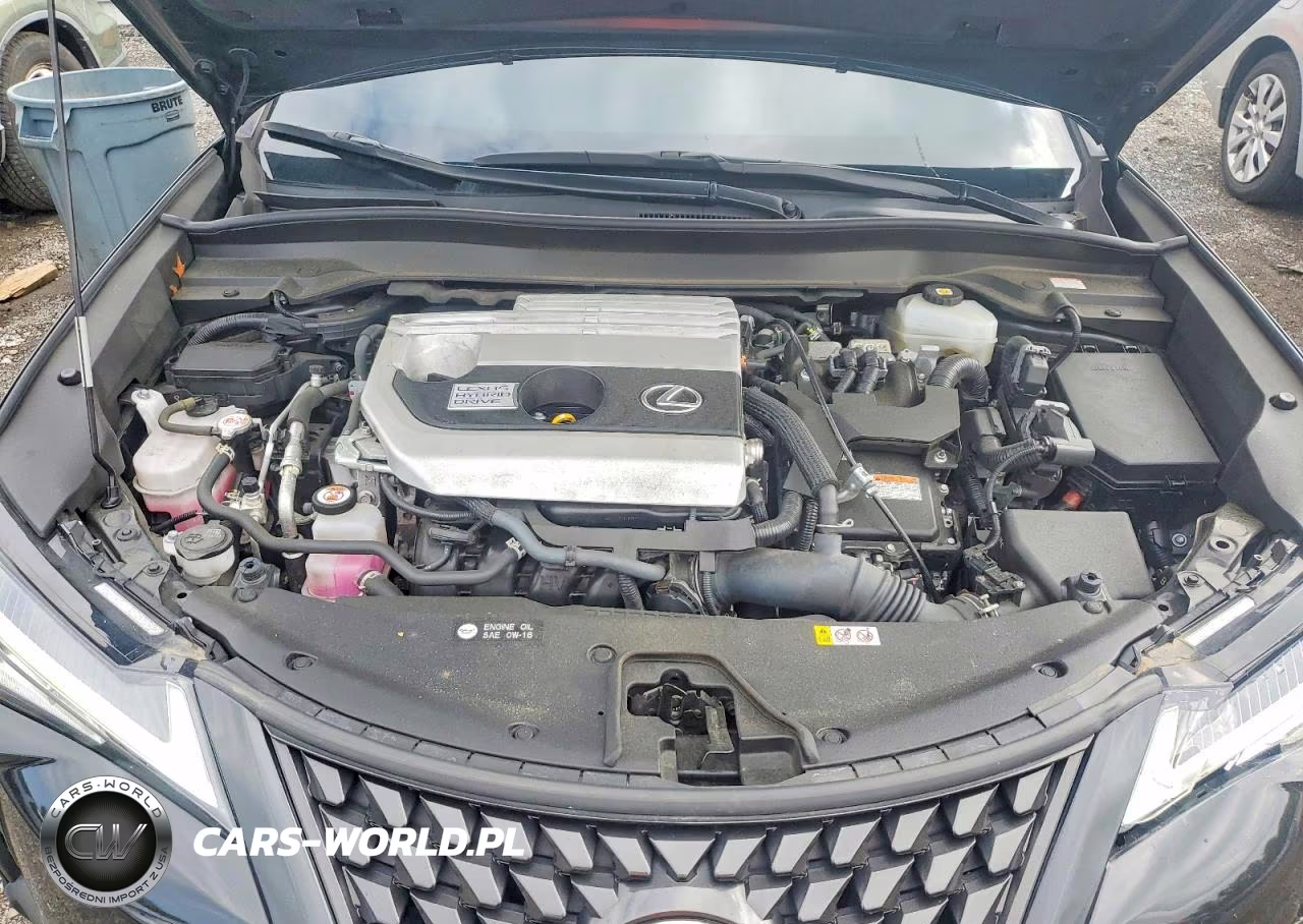 2022 Lexus Ux 250H Base VIN:JTHP9JBH4N2058720 - 11