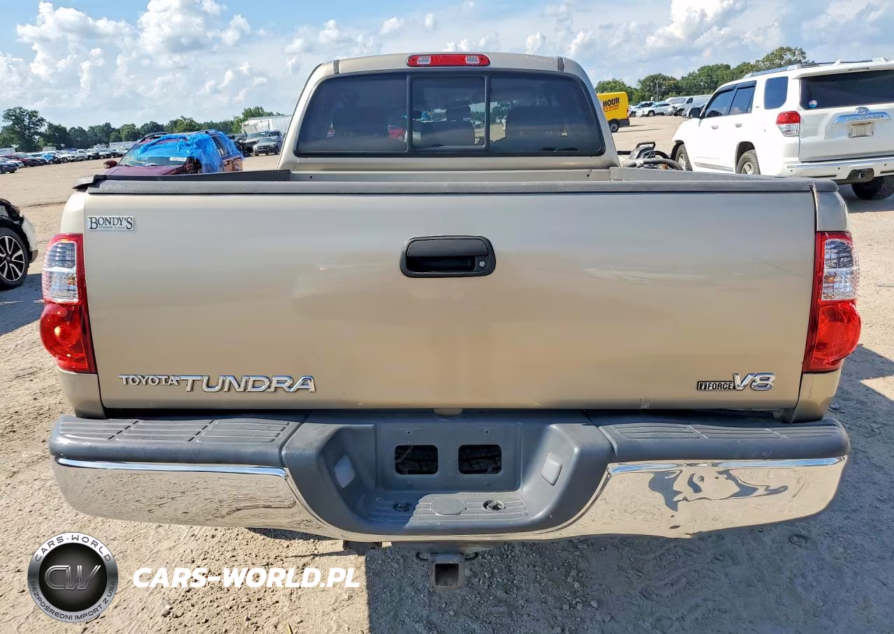 2005 Toyota Tundra Access Cab Sr5 VIN:5TBRT34145S466188 - 6