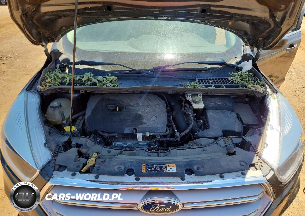 2018 Ford Escape Se VIN:1FMCU9GDXJUB85727 - 11